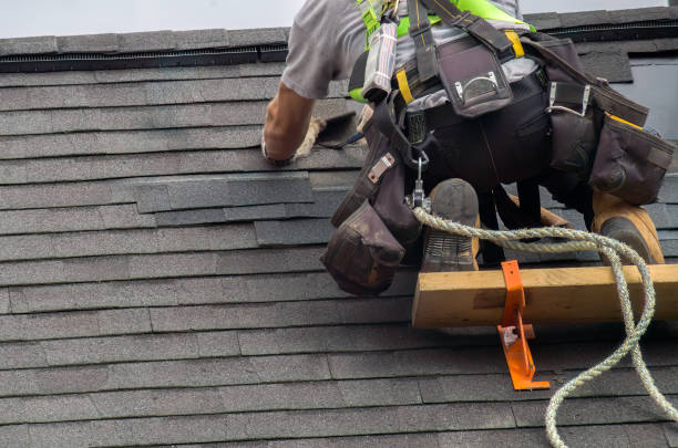 Professional Roofing Contractor in Eustace, TX